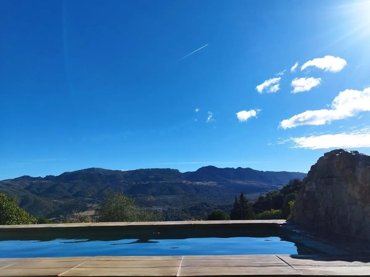 Hostal Casa el Pino Cortes de la Frontera España